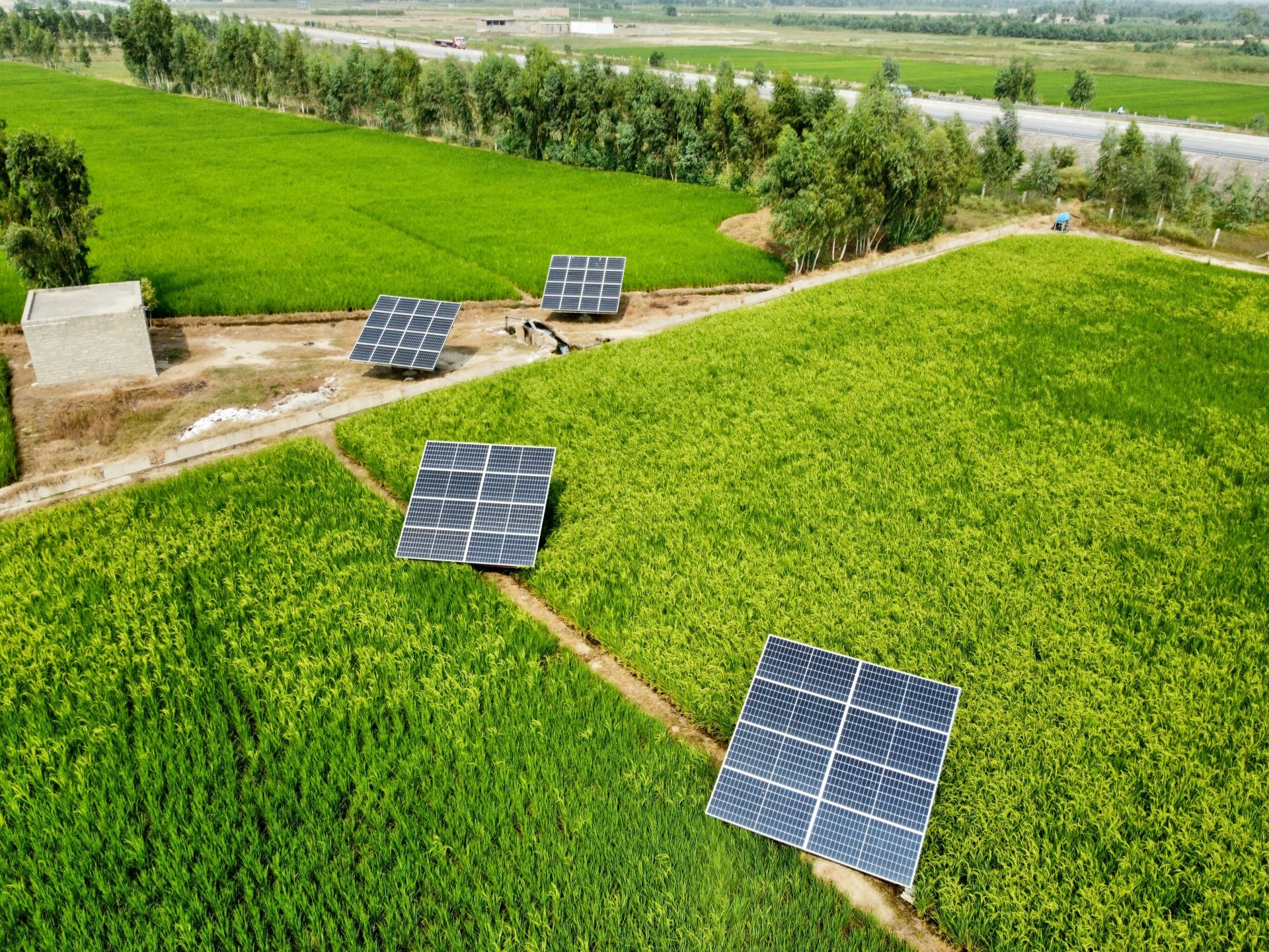 paneles solares en un campo